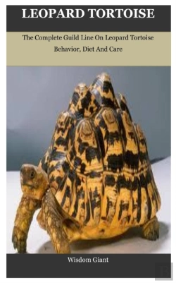 Bertrand.pt - Leopard Tortoise
