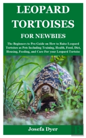 Leopard Tortoises For Newbies
