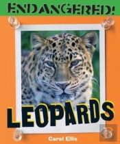Leopards