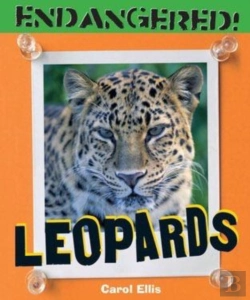 Bertrand.pt - Leopards
