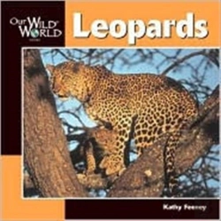Bertrand.pt - Leopards