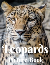 Leopards Picture Book