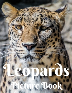 Bertrand.pt - Leopards Picture Book