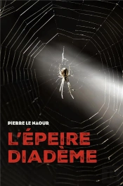 L'Epeire Diademe