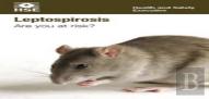 Leptospirosis: Are You At Risk? (Pack Of 15 Pocket Cards)