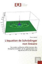 L'Equation De Schrodinger Non Lineaire - Ses Ondes Scelerates Deformations Des Peregrine Breathers E
