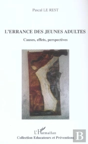 L'Errance Des Jeunes Adultes ; Causes, Effets, Perspectives