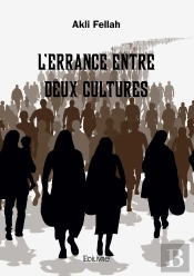 L'Errance Entre Deux Cultures