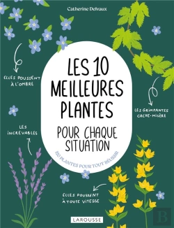 Bertrand.pt - Les 10 Meilleures Plantes Pour Chaque Situation