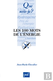 Les 100 Mots De L'Énergie