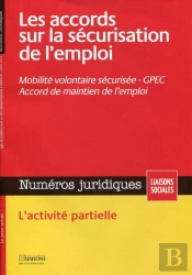 Les Accords Sur La Sécurisation De L'Emploi