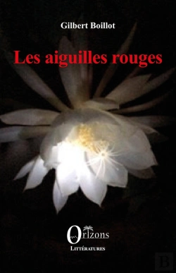 Bertrand.pt - Les Aiguilles Rouges