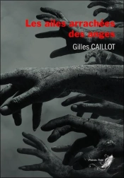Les Ailes Arrachees Des Anges Tome 4 - Tetralogie Massimo Zanetti
