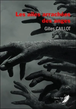 Bertrand.pt - Les Ailes Arrachees Des Anges Tome 4 - Tetralogie Massimo Zanetti
