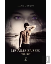 Les Ailes Brisees