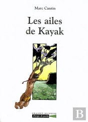 Les Ailes De Kayak