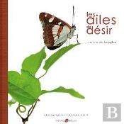 Les Ailes Du Desir... Ou La Vie Revee Des Papillons