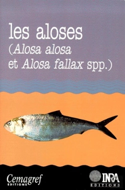 Bertrand.pt - Les Aloses Alosa Et Alosa Fallax Spp. - Bagliniere/Les Aloses Alosa Et Alosa Fallax Spp./