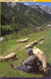 Les Alpes Francaises