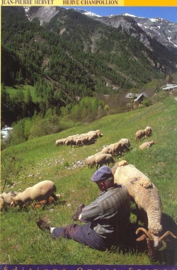 Bertrand.pt - Les Alpes Francaises