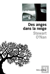 Les Anges Dans La Neige