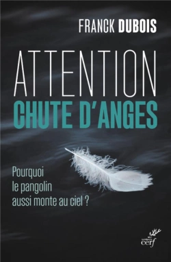 Bertrand.pt - Les Anges