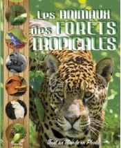 Les Animaux De La Forêt Tropicale