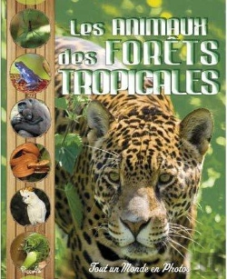 Bertrand.pt - Les Animaux De La Forêt Tropicale