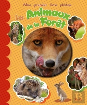 Les Animaux De La Forêt