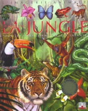 Les Animaux De La Jungle