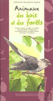 Les Animaux Des Bois Et Des Forets