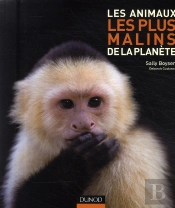 Les Animaux Les Plus Malins De La Planète