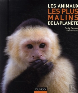 Bertrand.pt - Les Animaux Les Plus Malins De La Planète