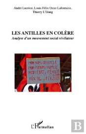 Les Antilles En Colère ; Analyse D'Un Mouvement Social Révélateur