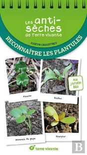 Les Antisèches De Terre Vivante : Reconnaître Les Plantules