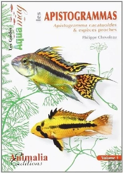 Bertrand.pt - Les Apistogrammas - Apistogramma Cacatuoides & Espèces Proches