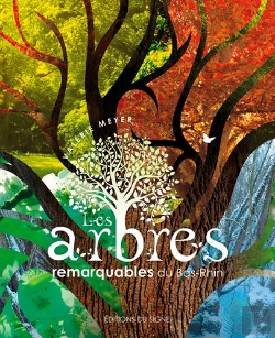 Bertrand.pt - Les Arbres Remarquables Du Bas-Rhin