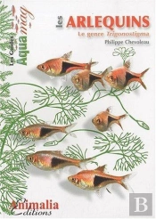 Les Arlequins