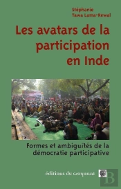 Les Avatars De La Participation ; Formes Et Ambiguïtés De La Démocratie Participative En Inde