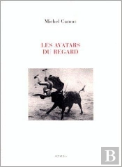 Les Avatars Du Regard