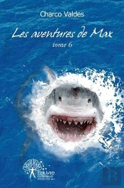 Les Aventures De Max (Tome 6)