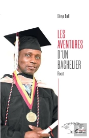 Les Aventures D'Un Bachelier - Recit