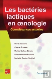 Les Bactéries Lactiques En ?Nologie : Connaissances Actuelles