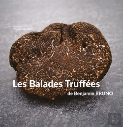 Bertrand.pt - Les Balades Truffées