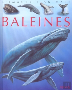 Bertrand.pt - Les Baleines 
