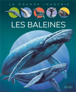 Bertrand.pt - Les Baleines