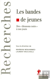 Les Bandes De Jeunes Des 'Blousons Noirs' À Nos Jours