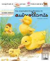 Les Bébés Animaux