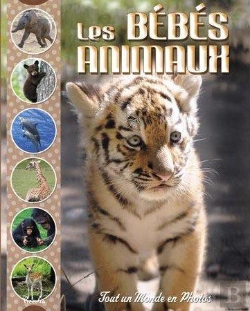 Bertrand.pt - Les Bébés Animaux