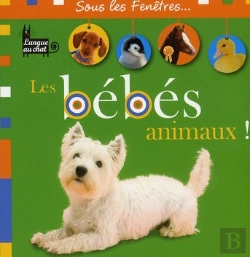 Bertrand.pt - Les Bébés Animaux !